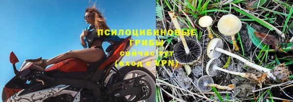 прущая мука Абаза