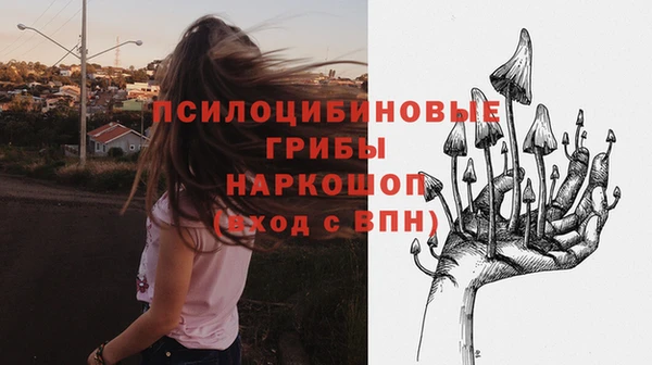 прущая мука Абаза