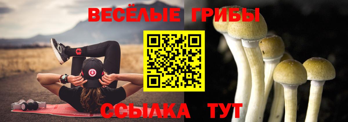Галлюциногенные грибы прущие грибы Майский